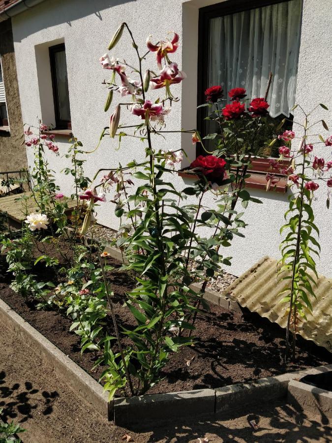 Gaestehaus Am Teich Raben Steinfeld Kültér fotó