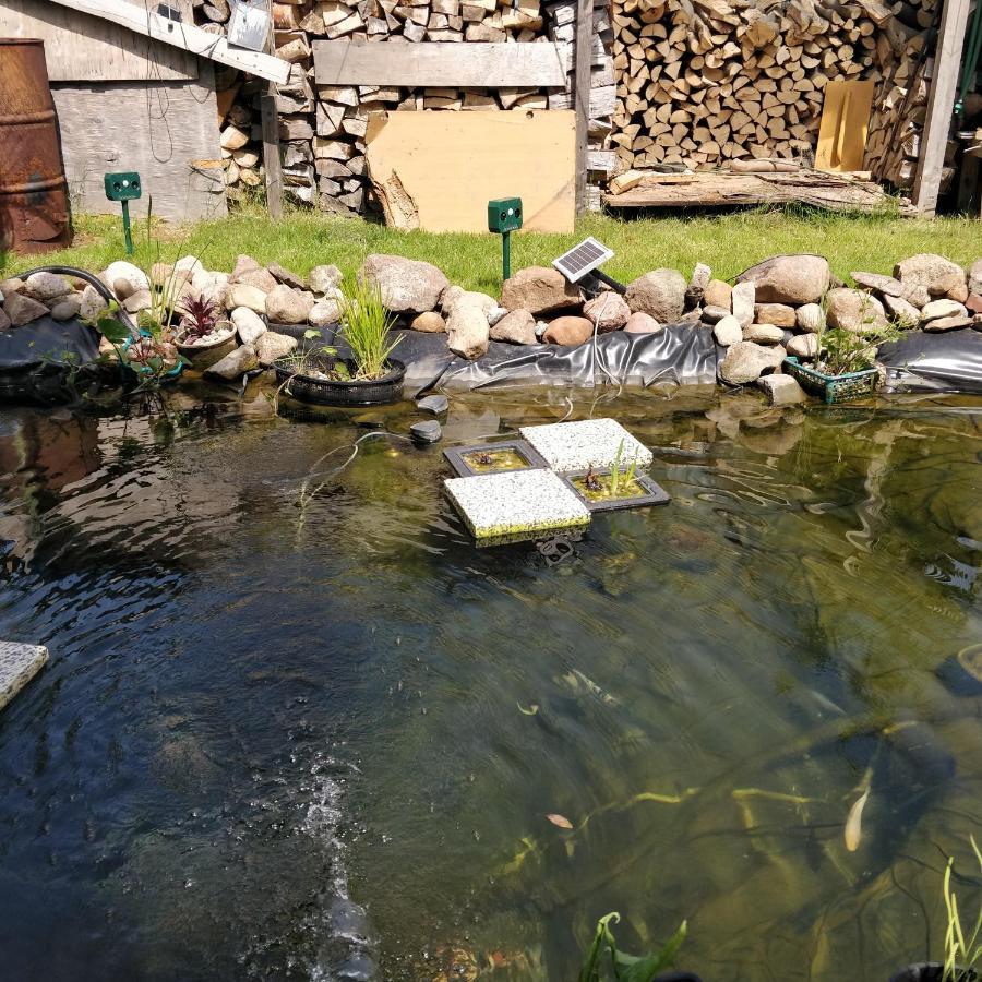 Gaestehaus Am Teich Raben Steinfeld Kültér fotó